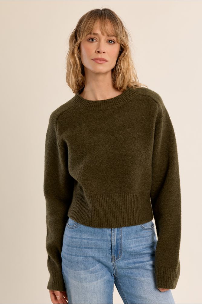 Khaki Cropped Knit