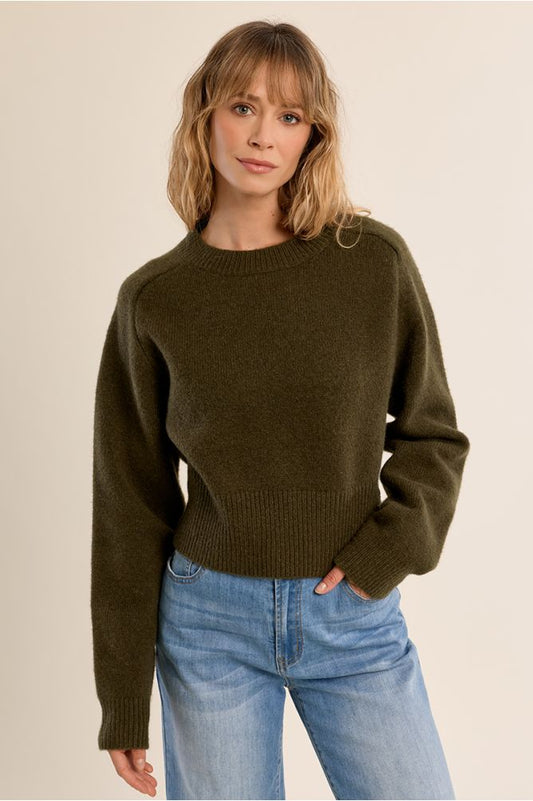 Khaki Cropped Knit